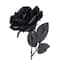 12 Pack: Black Open Rose Stem by Ashland™
